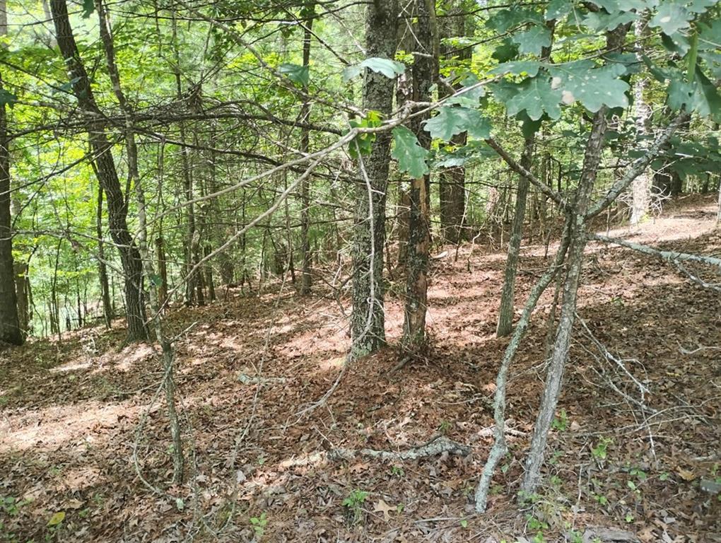 0 Crystal Lane Ellijay GA 30540