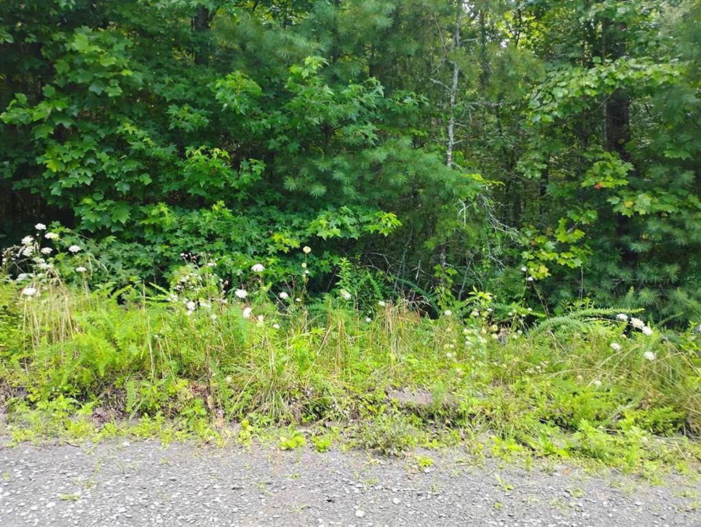 0 Crystal Lane Ellijay GA 30540