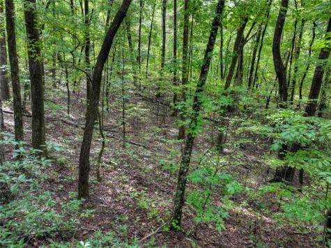 0 Mountainside Parkway Ellijay GA 30536