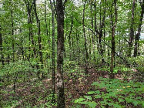 0 Mountainside Parkway Ellijay GA 30536