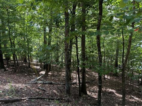 117 Tulip Tree Court Waleska GA 30183