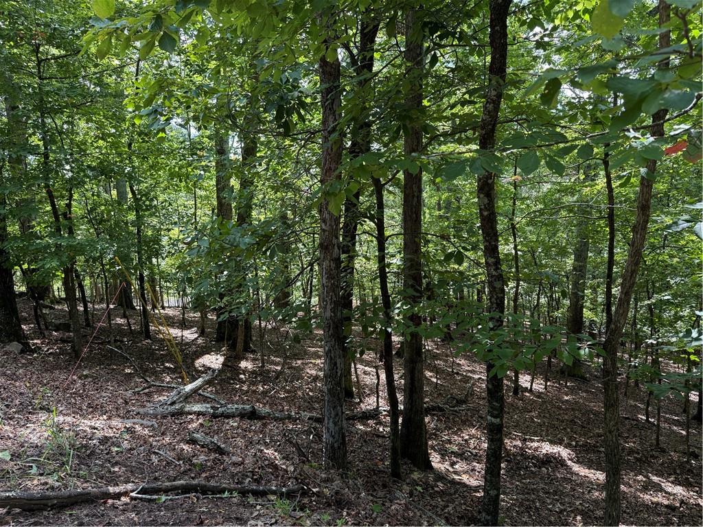 117 Tulip Tree Court Waleska GA 30183
