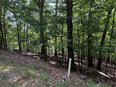 117 Tulip Tree Court Waleska GA 30183