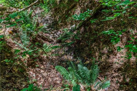 LT103R Mountain Creek Hollow Drive Talking Rock GA 30175