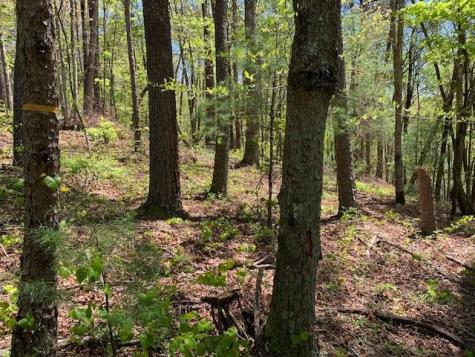 0 Fireside River Trace West Dahlonega GA 30533