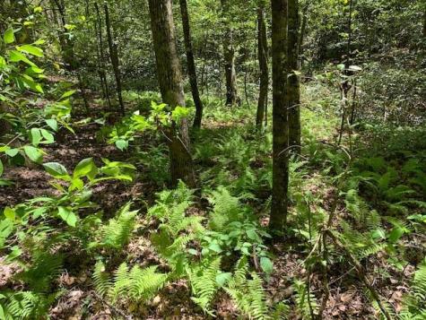 0 Fireside River Trace West Dahlonega GA 30533