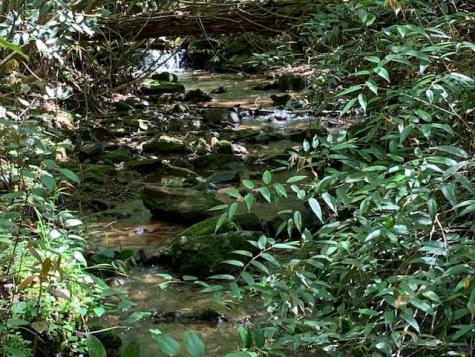 0 Fireside River Trace West Dahlonega GA 30533