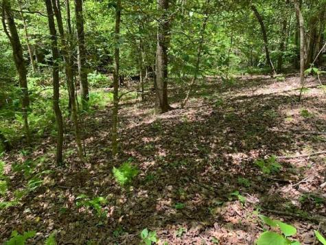 0 Fireside River Trace West Dahlonega GA 30533