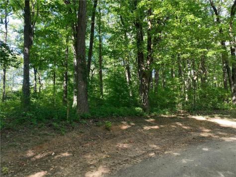 31 Highline Drive Ellijay GA 30536