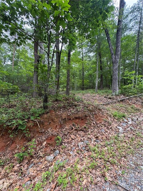 0 Nimblewill Creek Road Dahlonega GA 30533