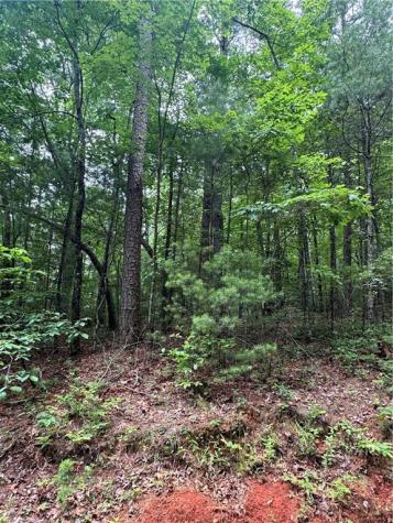 0 Nimblewill Creek Road Dahlonega GA 30533