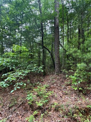 0 Nimblewill Creek Road Dahlonega GA 30533