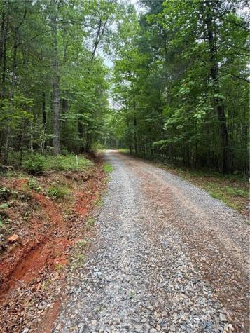 0 Nimblewill Creek Road Dahlonega GA 30533