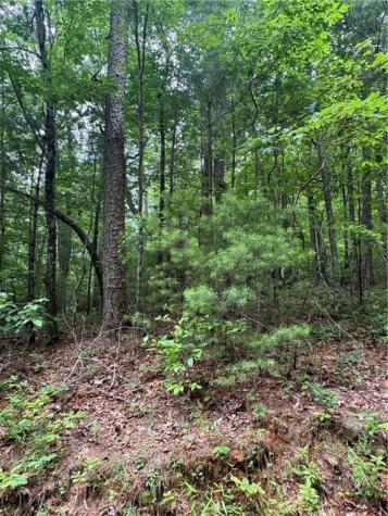 0 Nimblewill Creek Road Dahlonega GA 30533