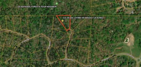 85 Via Massa Dahlonega GA 30533