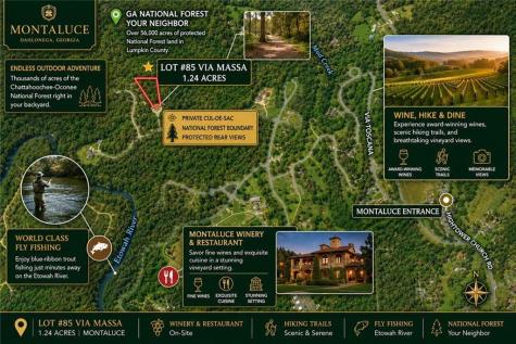 85 Via Massa Dahlonega GA 30533