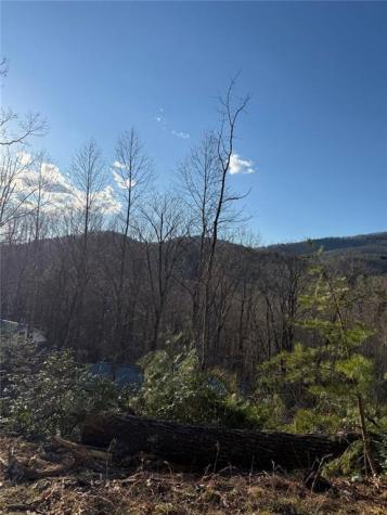 Lot 6D Meadow View Lane Cleveland GA 30528