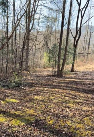 Lot 6d Meadow View Lane Cleveland GA 30528
