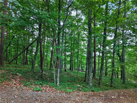 0 Ridgeside Court Jasper GA 30143