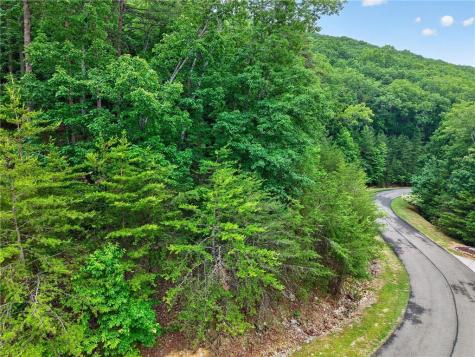 0 Ridgeside Court Jasper GA 30143