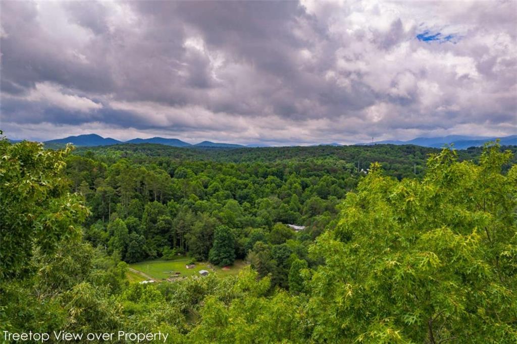 9 Deer Haven Drive Morganton GA 30560