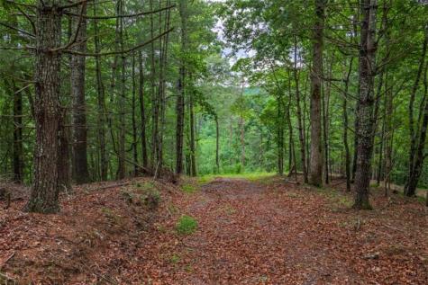 9 Deer Haven Drive Morganton GA 30560