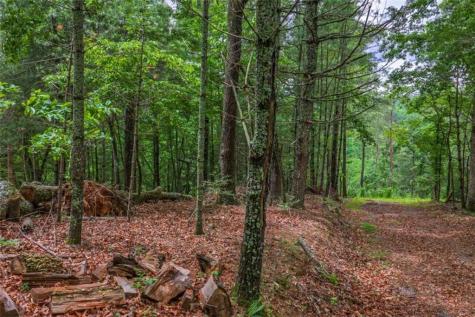9 Deer Haven Drive Morganton GA 30560