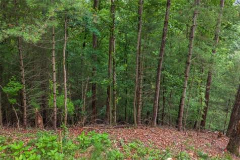 9 Deer Haven Drive Morganton GA 30560