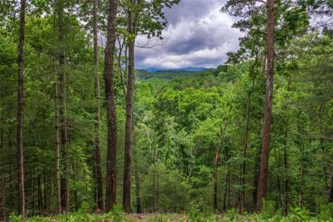 9 Deer Haven Drive Morganton GA 30560
