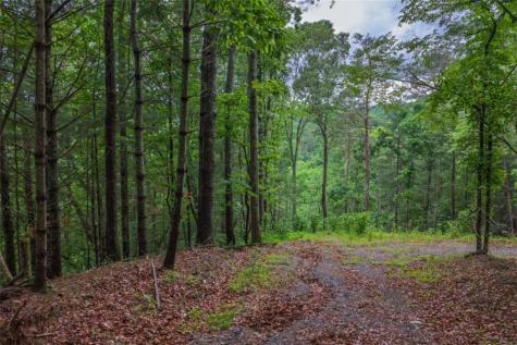 9 Deer Haven Drive Morganton GA 30560