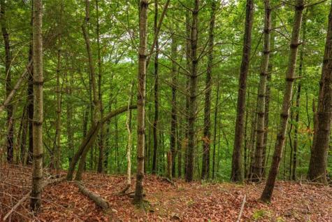 9 Deer Haven Drive Morganton GA 30560