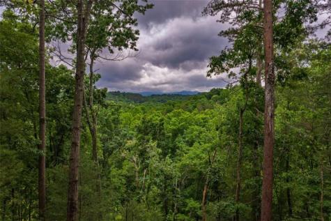 9 Deer Haven Drive Morganton GA 30560
