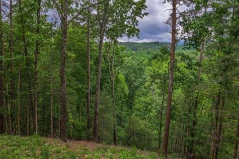 9 Deer Haven Drive Morganton GA 30560