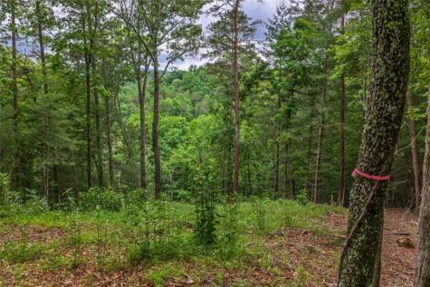 9 Deer Haven Drive Morganton GA 30560