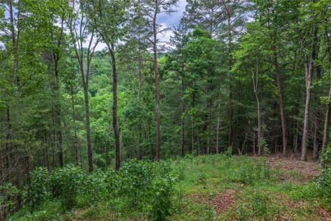 9 Deer Haven Drive Morganton GA 30560