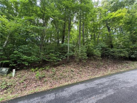 Lot 7 Mill Ridge Road Hiawassee GA 30546