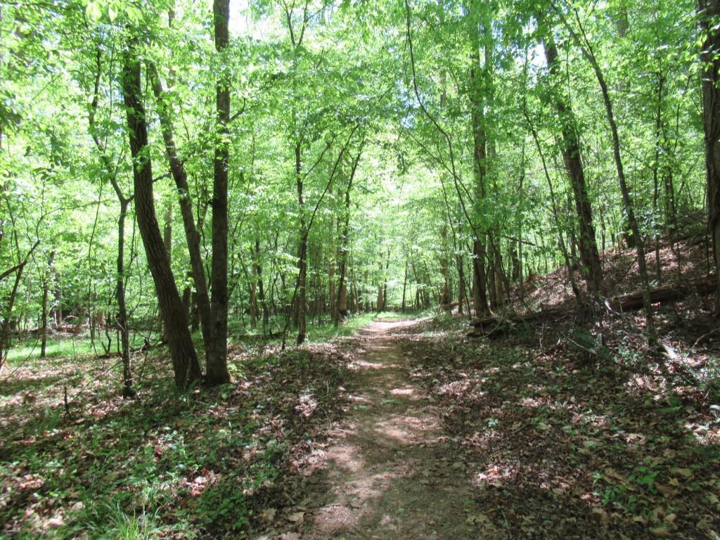 0 Chestatee Drive Dahlonega GA 30533