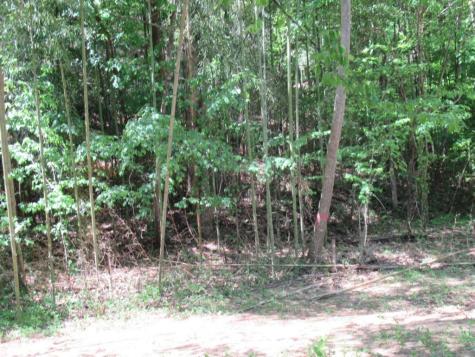 0 Chestatee Drive Dahlonega GA 30533