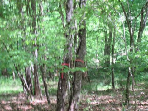 0 Chestatee Drive Dahlonega GA 30533