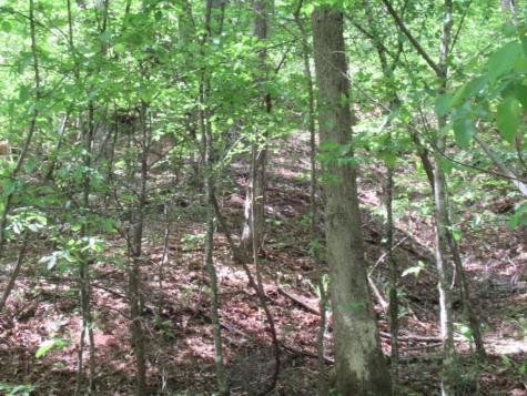 0 Chestatee Drive Dahlonega GA 30533
