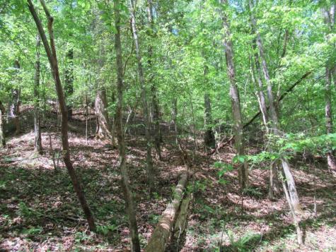 0 Chestatee Drive Dahlonega GA 30533