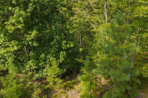 0 Harris Creek Drive Ellijay GA 30540