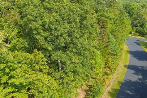 0 Harris Creek Drive Ellijay GA 30540