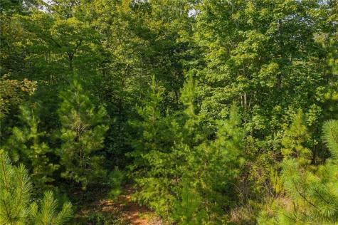 0 Harris Creek Drive Ellijay GA 30540