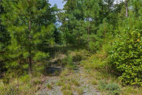 0 Harris Creek Drive Ellijay GA 30540