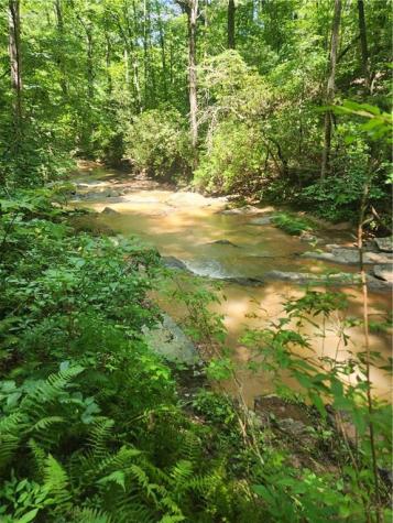 0 Harris Creek Drive Ellijay GA 30540