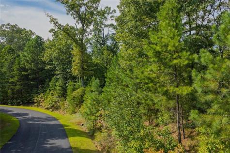 0 Harris Creek Drive Ellijay GA 30540