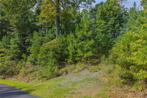0 Harris Creek Drive Ellijay GA 30540