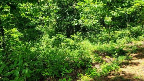 0 High Cliff Road Jasper GA 30143