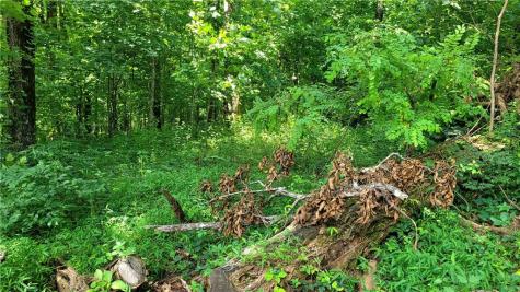 0 High Cliff Road Jasper GA 30143